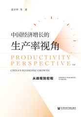 中国经济增长的生产率视角：从微观到宏观