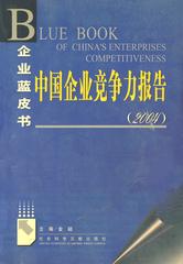 中国企业竞争力报告（2004）