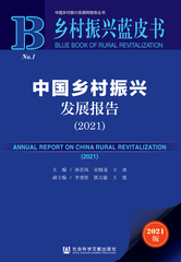 中国乡村振兴发展报告（2021）