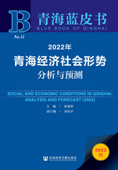 2022年青海经济社会形势分析与预测
