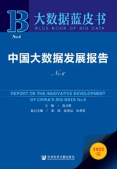 中国大数据发展报告No.6