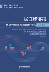 长江经济带协调性均衡发展指数报告（2020～2021）