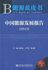 中国能源发展报告（2013）