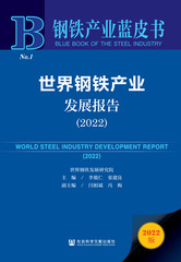 世界钢铁产业发展报告（2022）