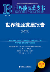 世界能源发展报告（2022）