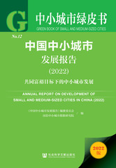 中国中小城市发展报告（2022）