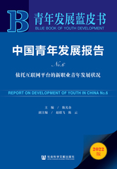 中国青年发展报告No.6