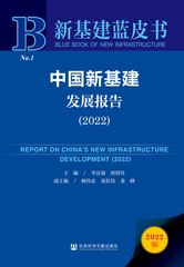 中国新基建发展报告（2022）
