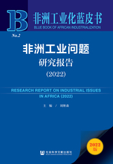 非洲工业问题研究报告（2022）