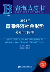 2023年青海经济社会形势分析与预测