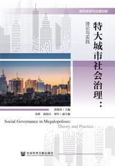 特大城市社会治理：理论与实践