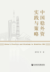 中国稳外资实践与策略