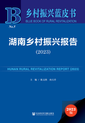 湖南乡村振兴报告（2023）