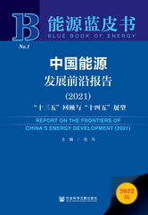 中国能源发展前沿报告（2021）