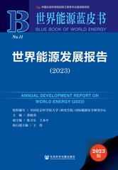 世界能源发展报告（2023）