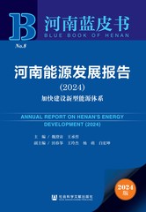河南能源发展报告（2024）