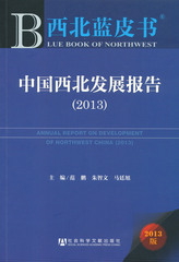 中国西北发展报告（2013）