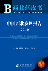 中国西北发展报告（2014）