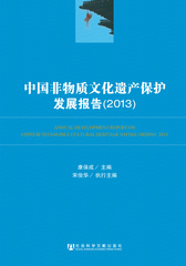中国非物质文化遗产保护发展报告（2013）