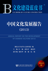中国文化发展报告（2013）