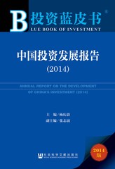 中国投资发展报告（2014）