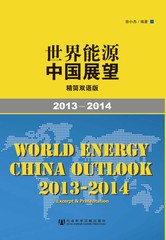 世界能源中国展望（2013-2014）——精简双语版：汉、英
