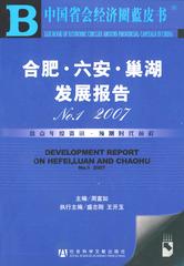 合肥·六安·巢湖发展报告No.1 2007