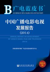 中国广播电影电视发展报告（2014）