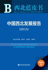 中国西北发展报告（2015）