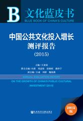 中国公共文化投入增长测评报告（2015）
