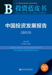 中国投资发展报告（2015）