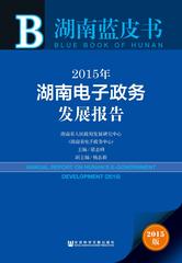 2015年湖南电子政务发展报告