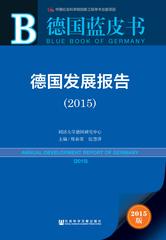德国发展报告（2015）