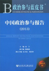 中国政治参与报告（2013）