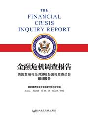 金融危机调查报告