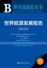 世界能源发展报告（2015）