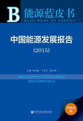 中国能源发展报告（2015）