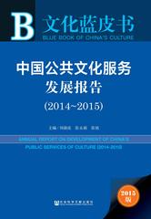 中国公共文化服务发展报告（2014～2015）
