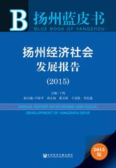 扬州经济社会发展报告（2015）