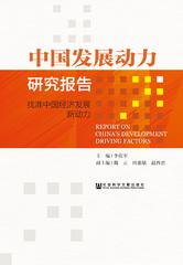 中国发展动力研究报告