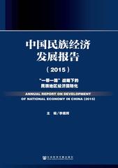 中国民族经济发展报告（2015）