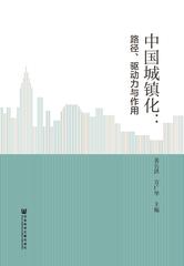 中国城镇化：路径、驱动力与作用
