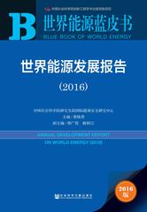 世界能源发展报告（2016）