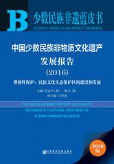 中国少数民族非物质文化遗产发展报告（2016）