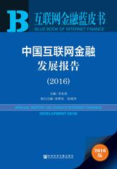 中国互联网金融发展报告（2016）