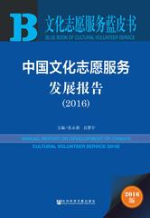 中国文化志愿服务发展报告（2016）