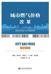 城市燃气价格改革：国际经验与中国选择