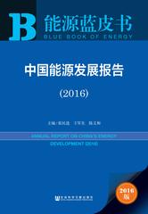 中国能源发展报告（2016）