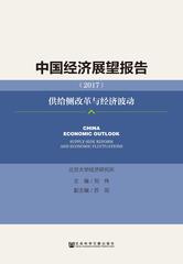 中国经济展望报告（2017）