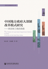 中国地方政府大部制改革模式研究